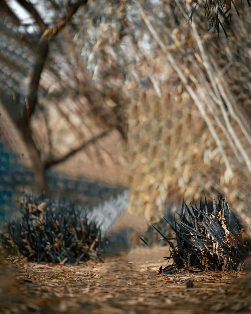 New Photo Editing Background 7 New Photo Editing Background