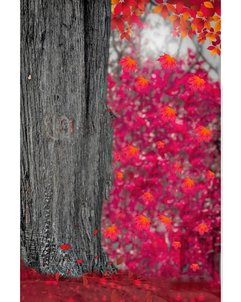 Snapseed Background Colour download 15 Snapseed Background Colour download