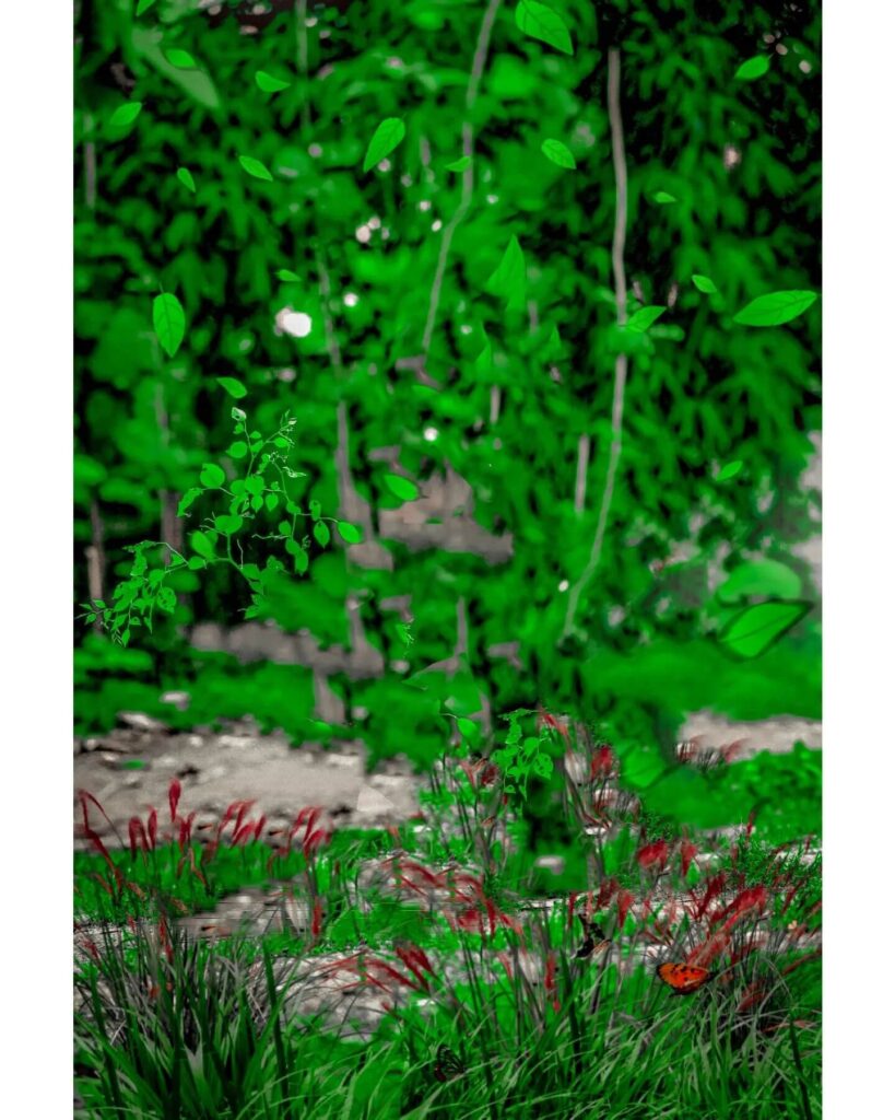 Snapseed Background Colour download full hd 5 Snapseed Background Colour download full hd