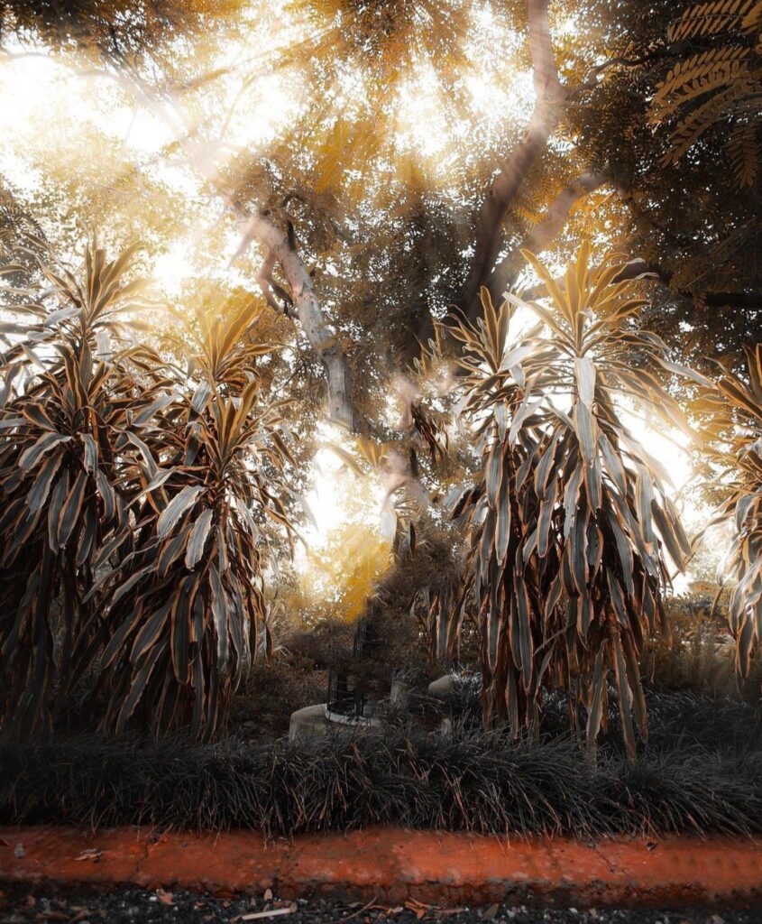 new Cb background HD 1080p 2023 2 new Cb background HD 1080p 2023