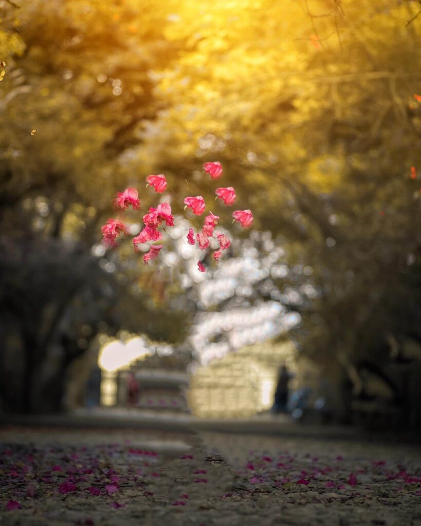 1000+ picsart background full hd download 2024 92 new Picsart background edit