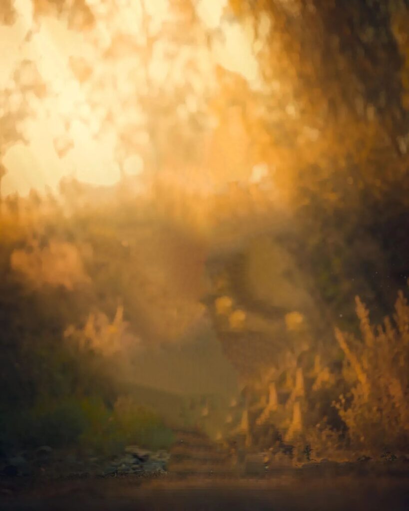 picsart background blur