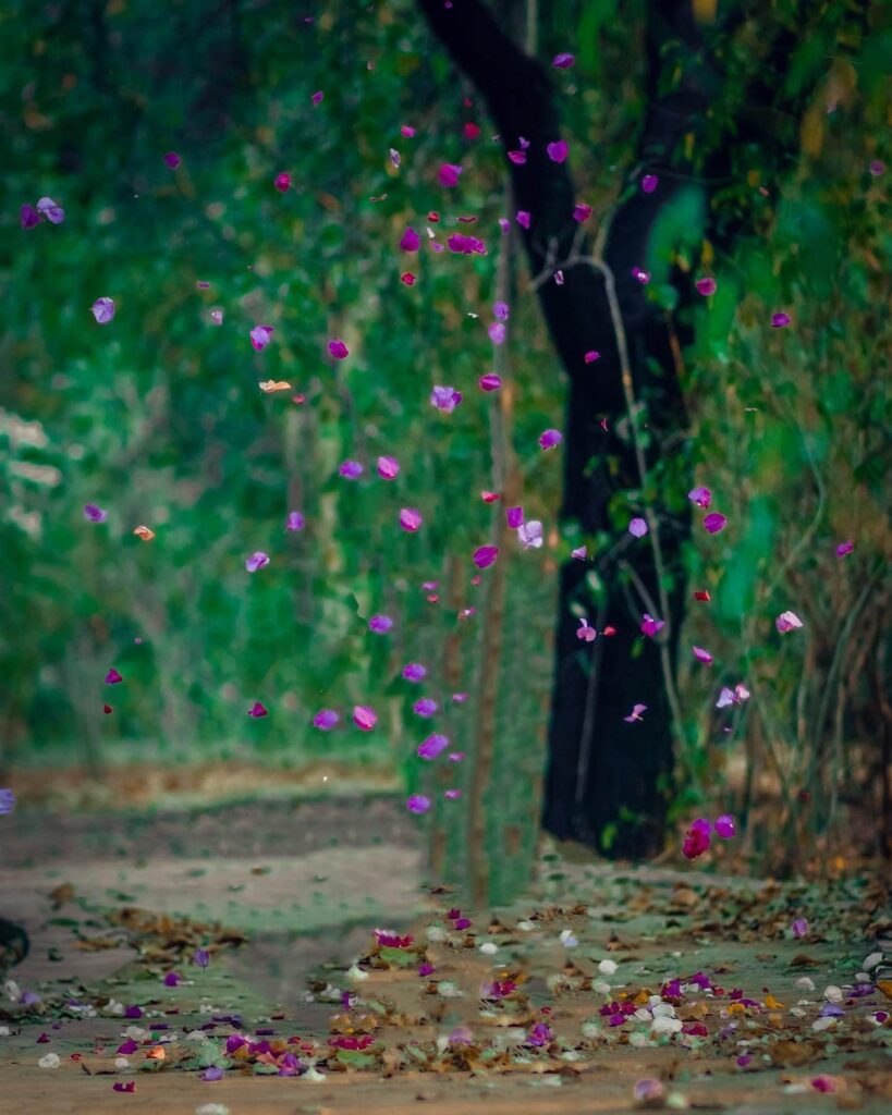 picsart editing background images hd 14 picsart editing background images hd