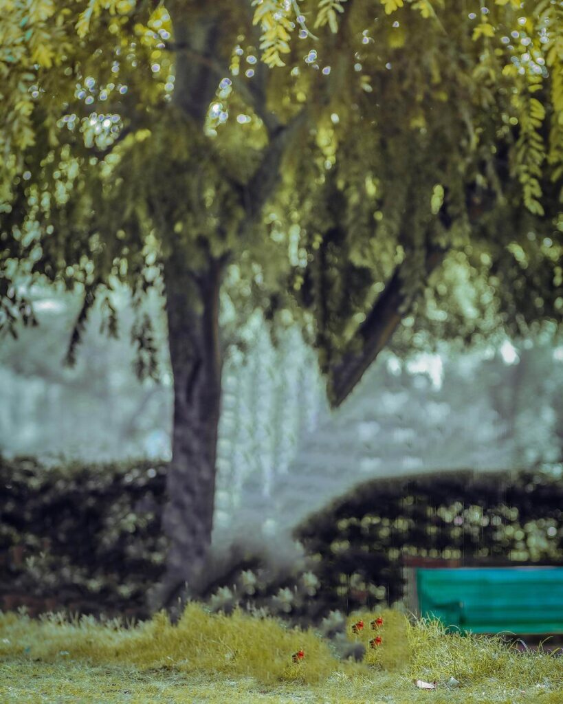 picsart photo editing background full hd download 12 picsart photo editing background full hd download