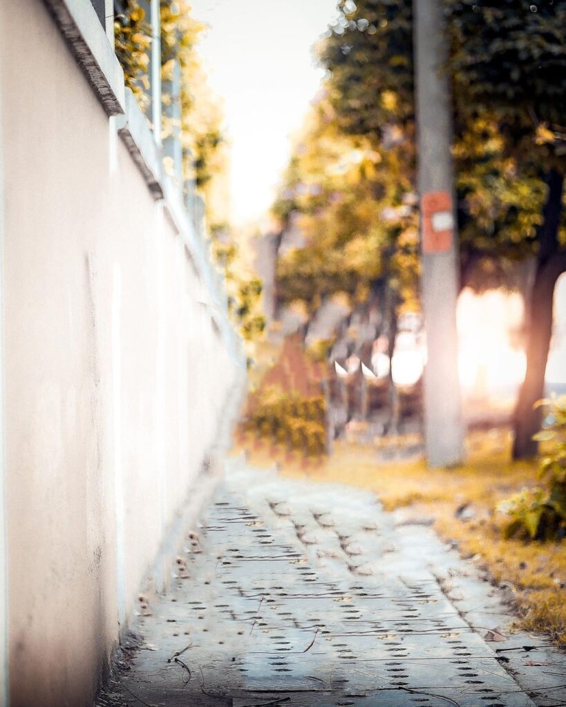 snapseed background download 8 snapseed background download