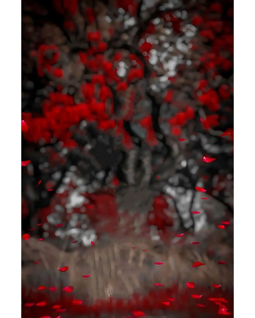 snapseed background hd images 13 snapseed background hd images