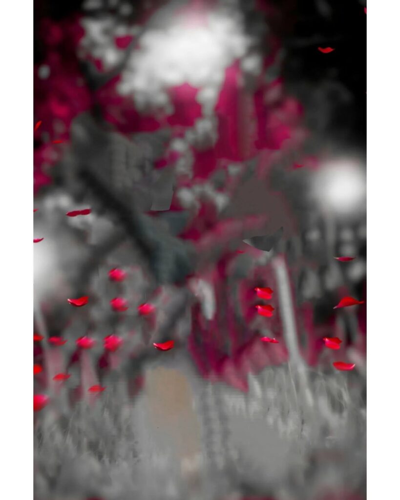 snapseed background love 11 snapseed background love