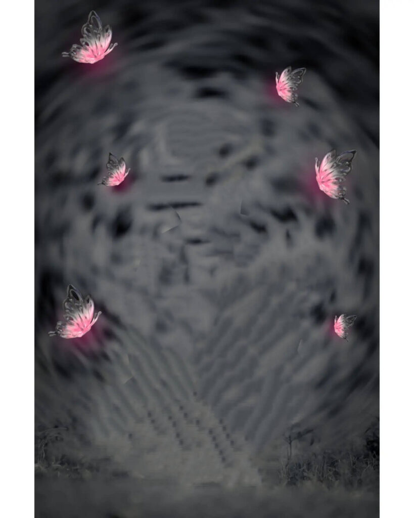 snapseed light butterfly background image hd 4 snapseed light butterfly background image hd