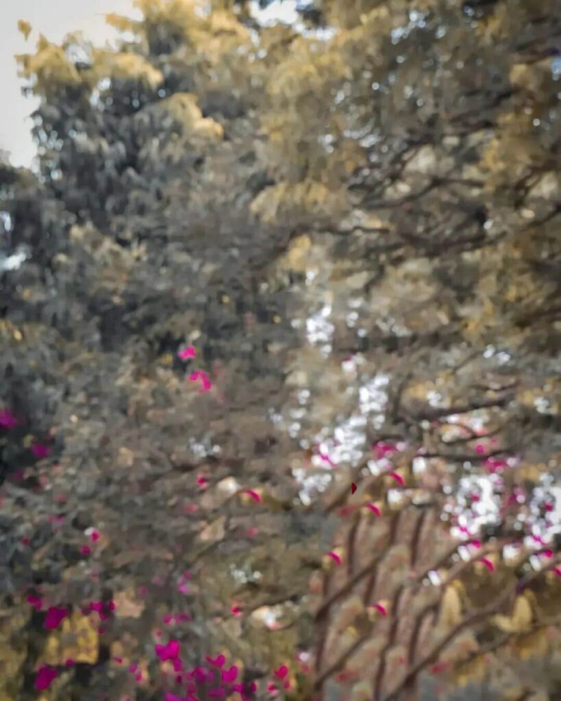 CB Edit Photo Editing background Images 18 CB Edit Photo Editing background Images