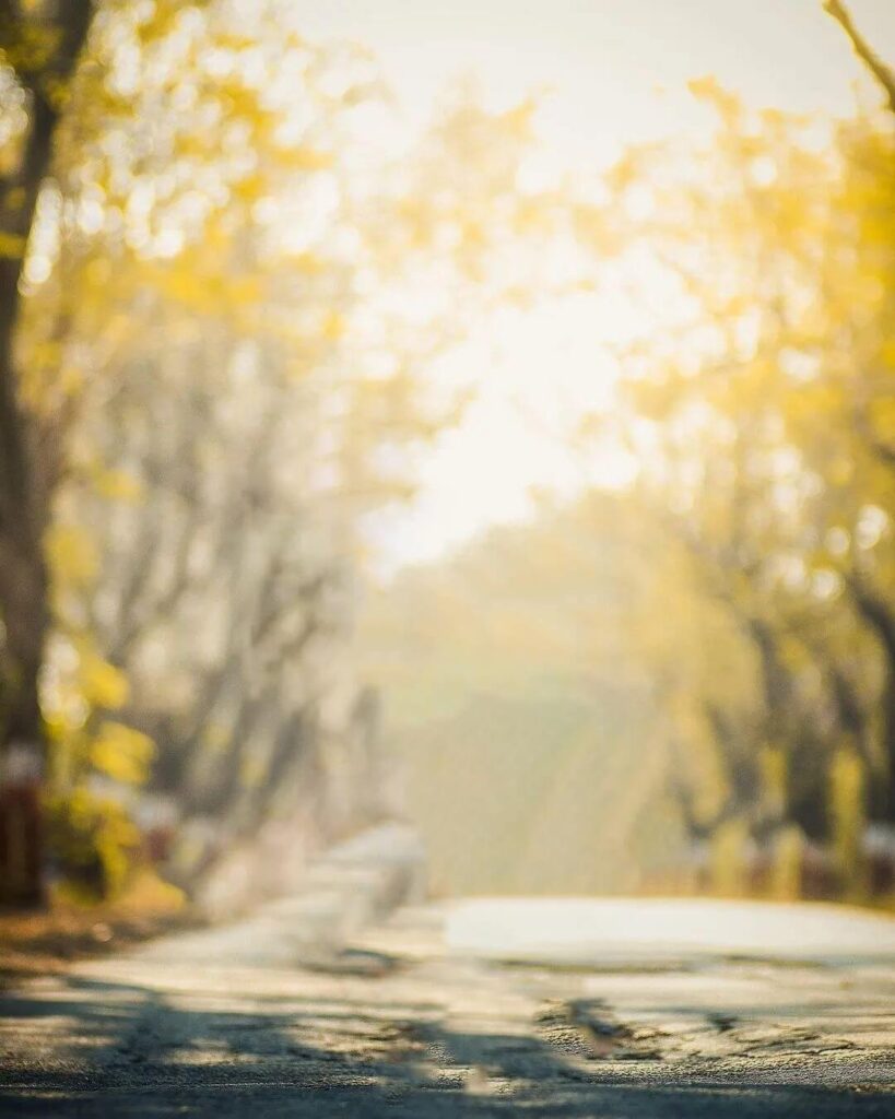 CB Edtiting HD Background Download new 7 CB Edtiting HD Background Download new