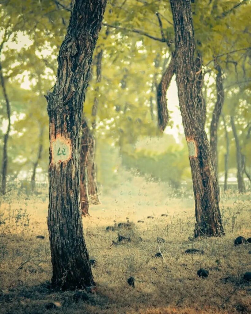 CB HD New Background Images 4 CB HD New Background Images