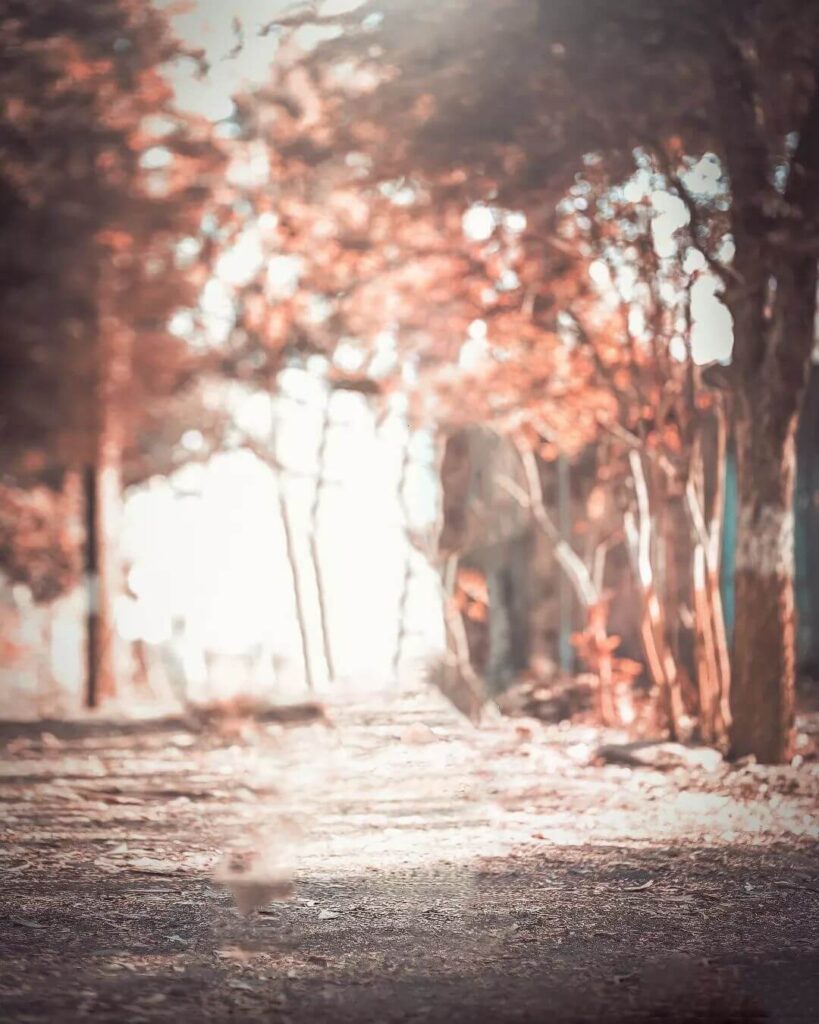 CB Photo Editing New Backgrounds Download 13 CB Photo Editing New Backgrounds Download