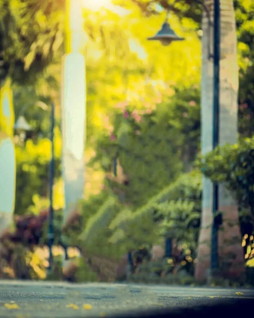 Cb yellow Park Background Download Full HD 3 Cb yellow Park Background Download Full HD