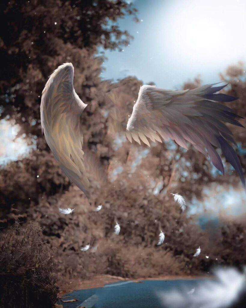 cb wing background full hd 1080p 10 cb wing background full hd 1080p