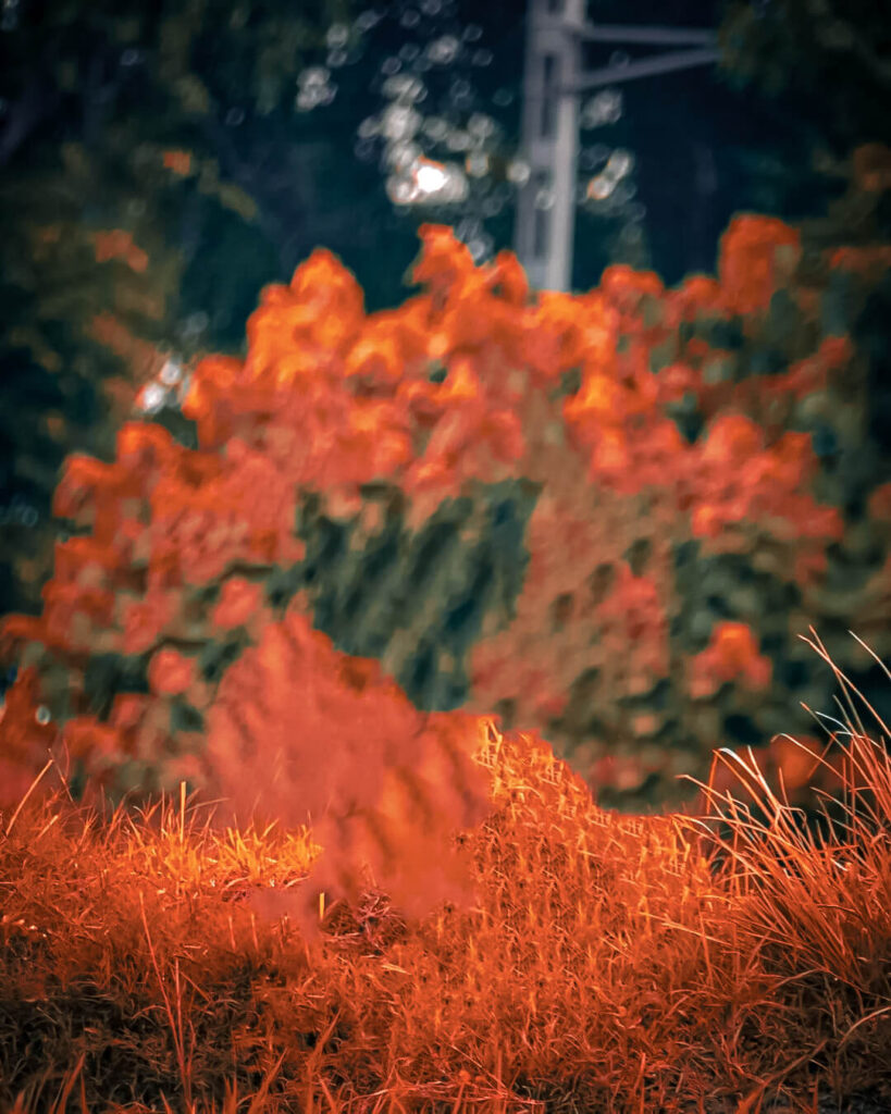 50+ top background images hd for editing download 3 background images hd 1080p free download