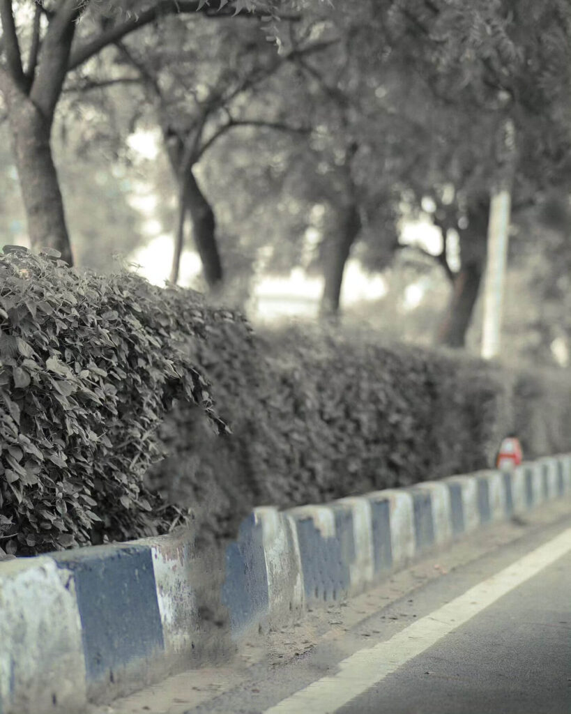 50+ top background images hd for editing download 8 background images hd free download