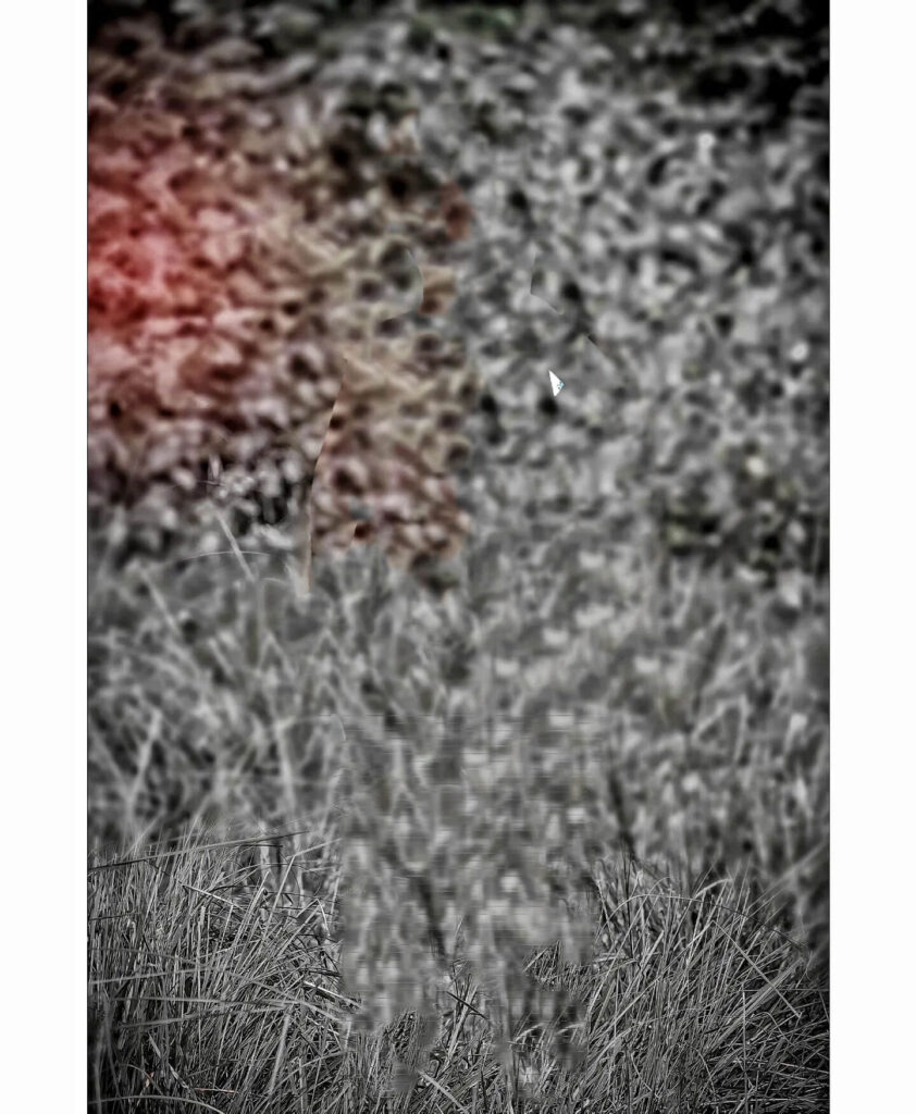 50+ top blur background hd download hd 5 black blur background