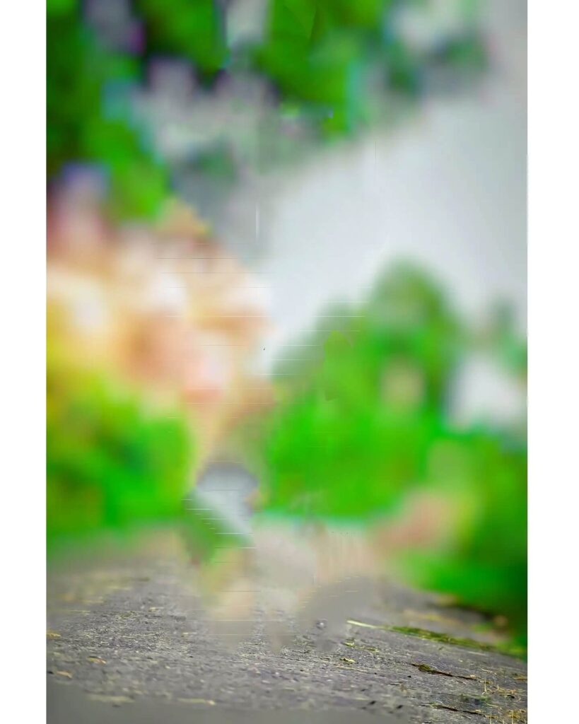 50+ top blur background hd download hd 2 blur background fo editing