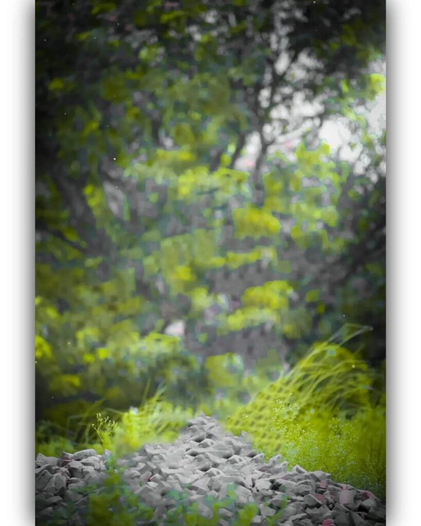 50+ top blur background hd download hd 6 blur background for photo editing