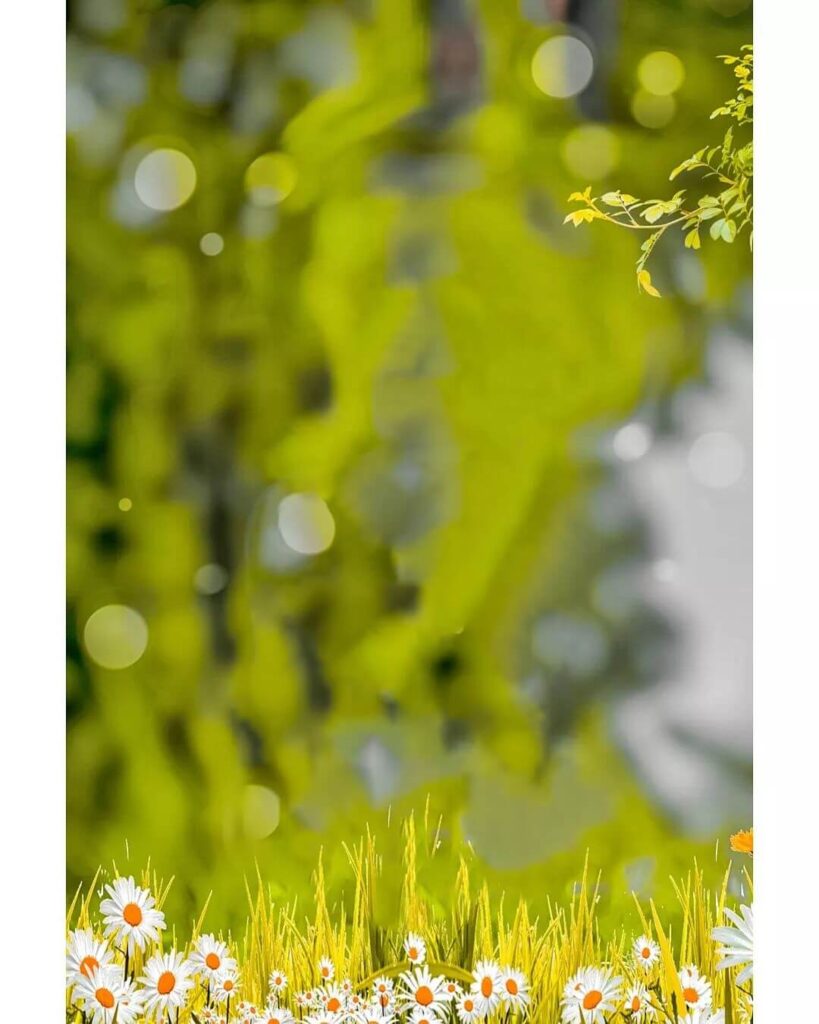 50+ top blur background hd download hd 19 cb blur background