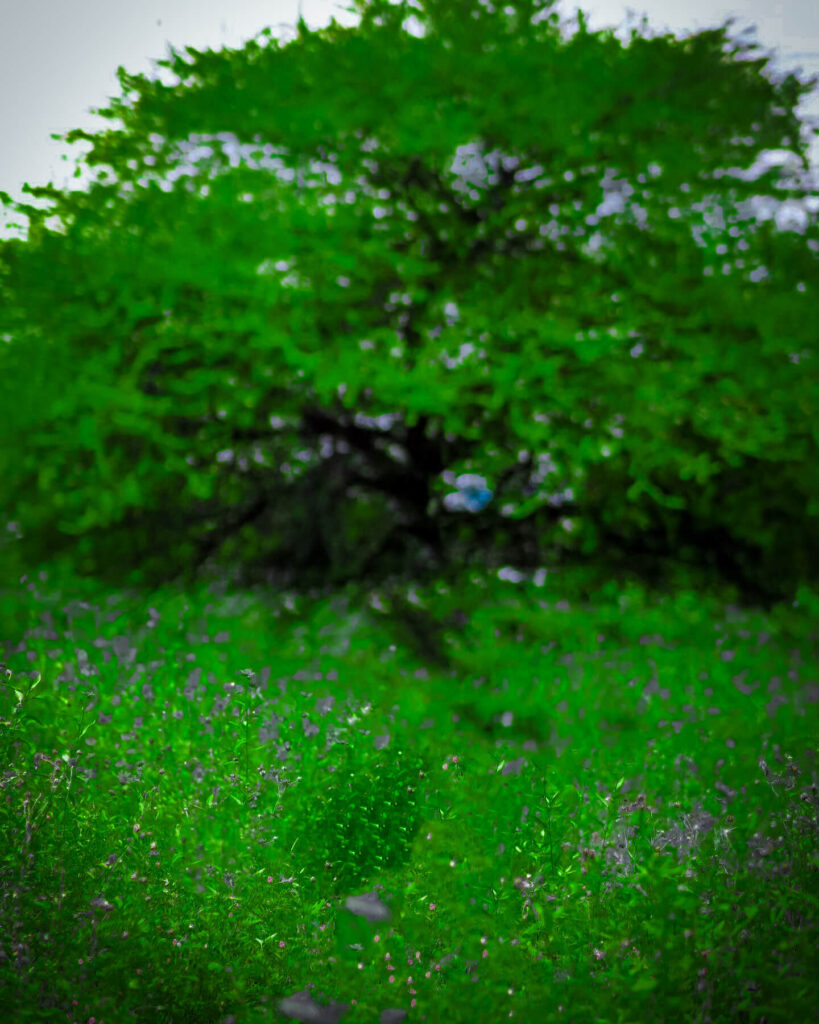 50+ top background images hd for editing download 14 editing background images hd