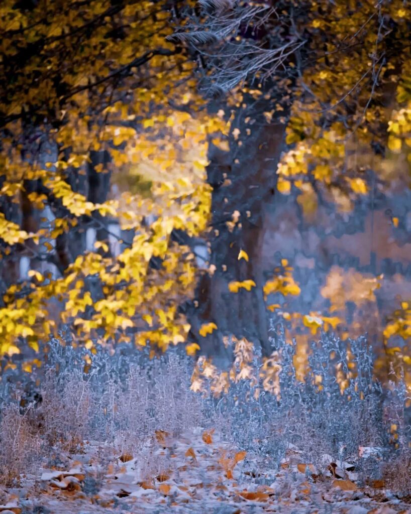 1000+ best Lightroom background hd download free 2024 10 lightroom background editing