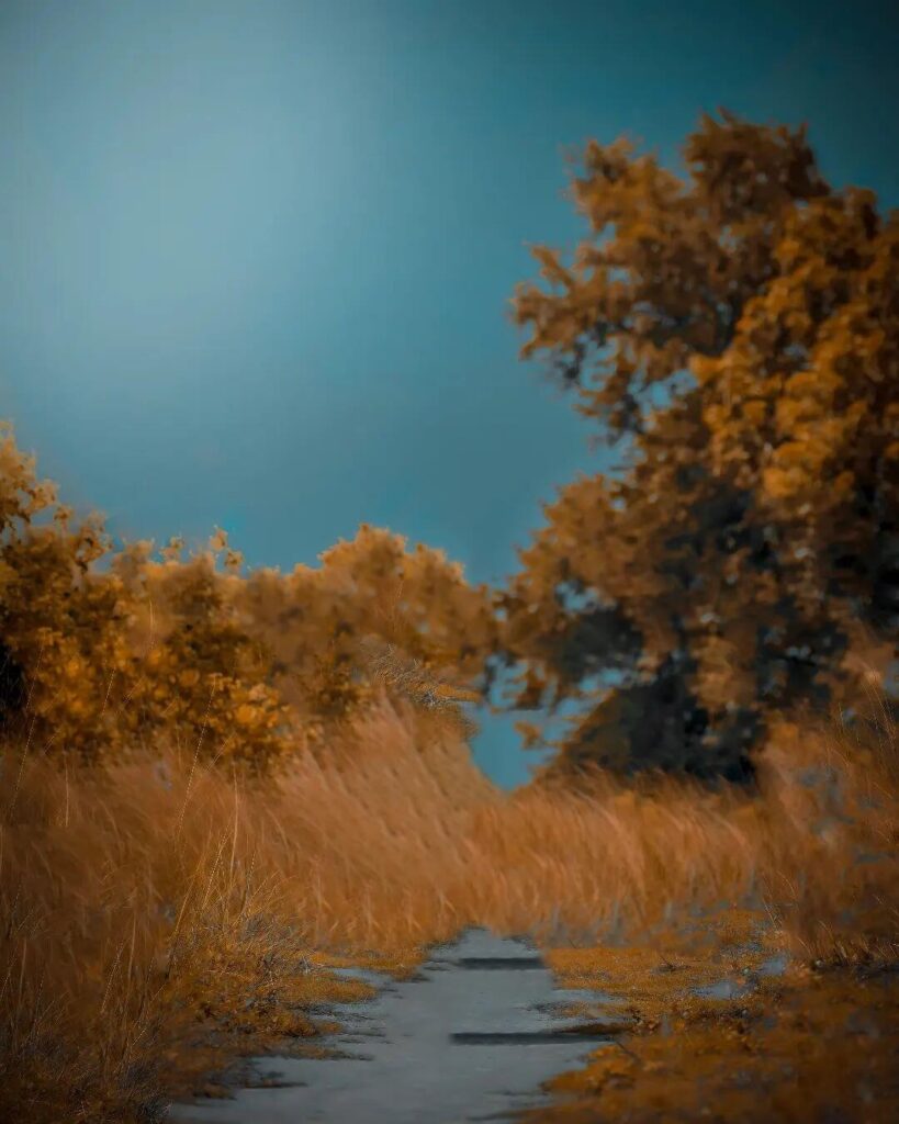 50+ best snapseed background photo download hd 7 new snapseed background 4k