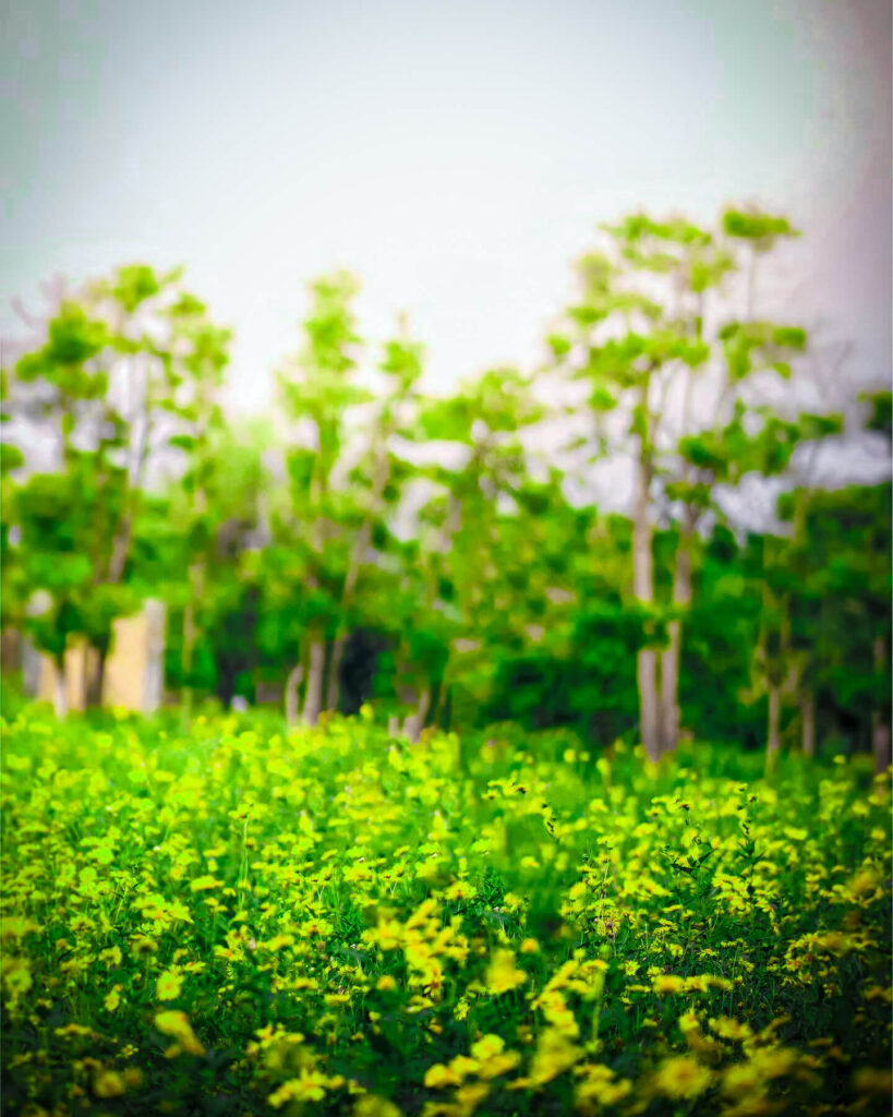 50+ top background images hd for editing download 19 photo background images hd