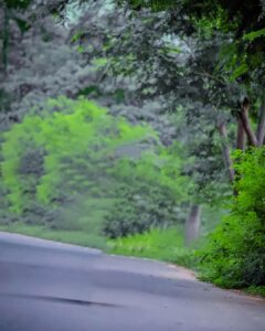 snapseed background full hd 1080p new 18 snapseed background full hd 1080p new