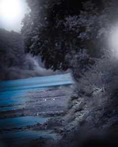 snapseed black tree and water background 16 snapseed black tree and water background