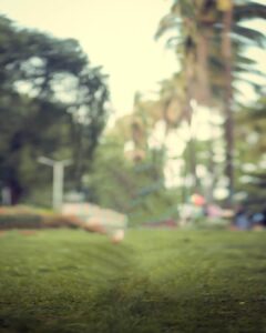 snapseed blur background full hd 15 snapseed blur background full hd