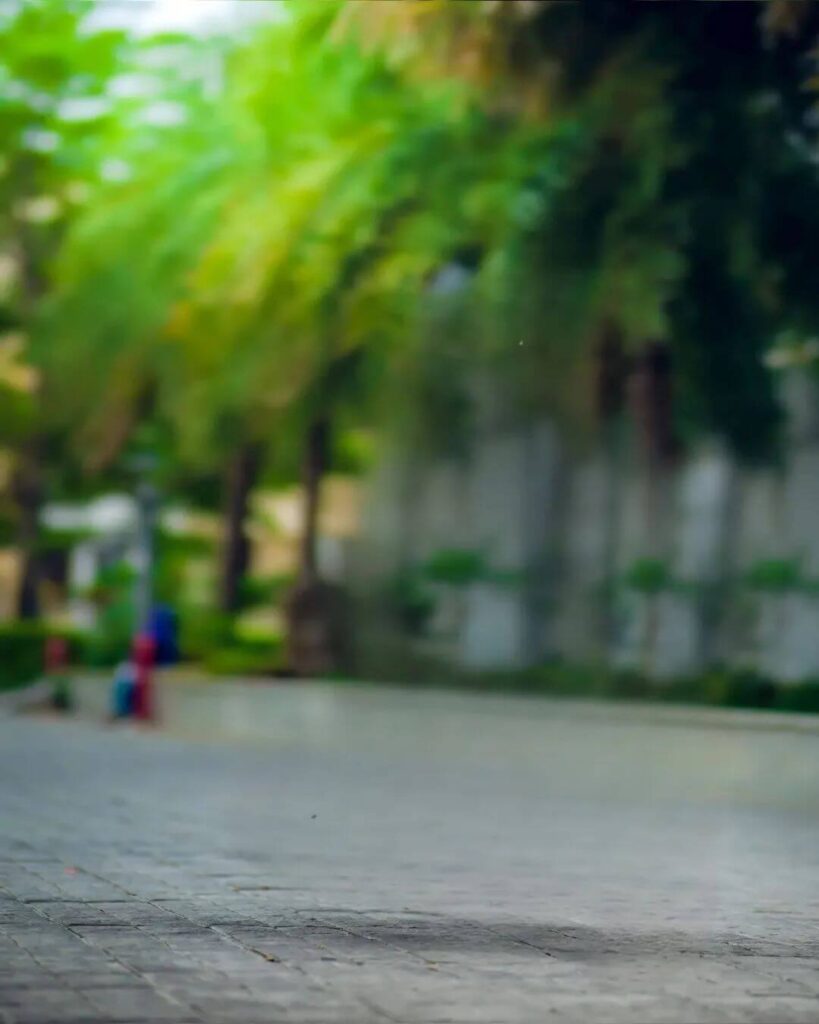 snapseed nature editing background download pic 8 snapseed nature editing background download pic