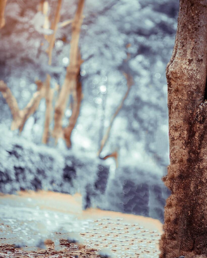 50+ top background images hd for editing download 23 white background images hd