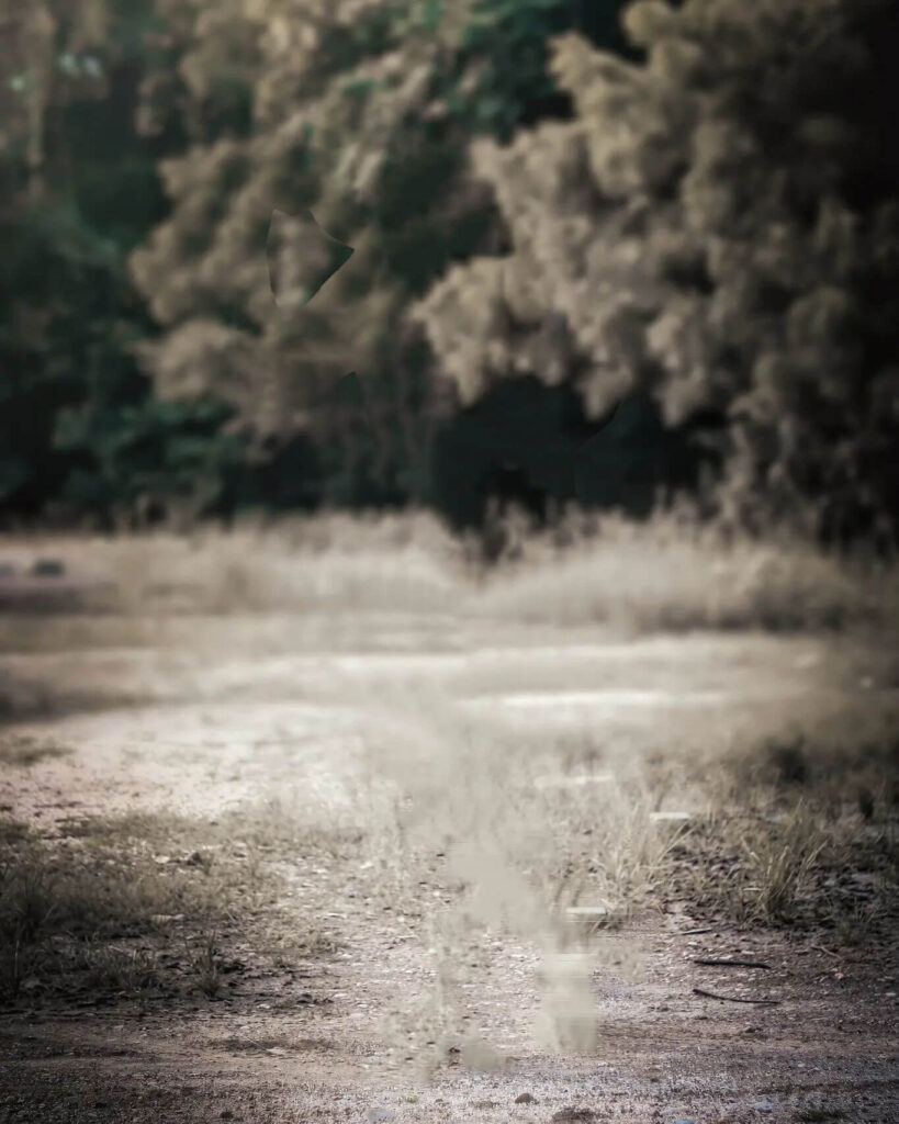 full hd background photo editing