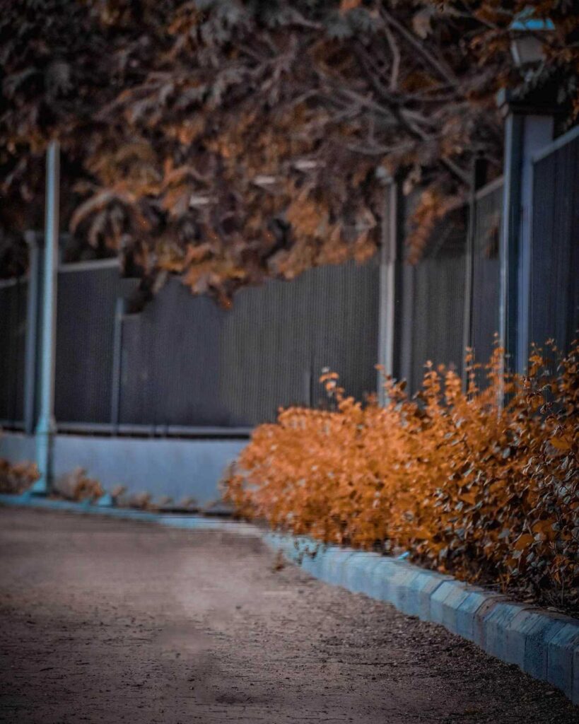 picsart cb background