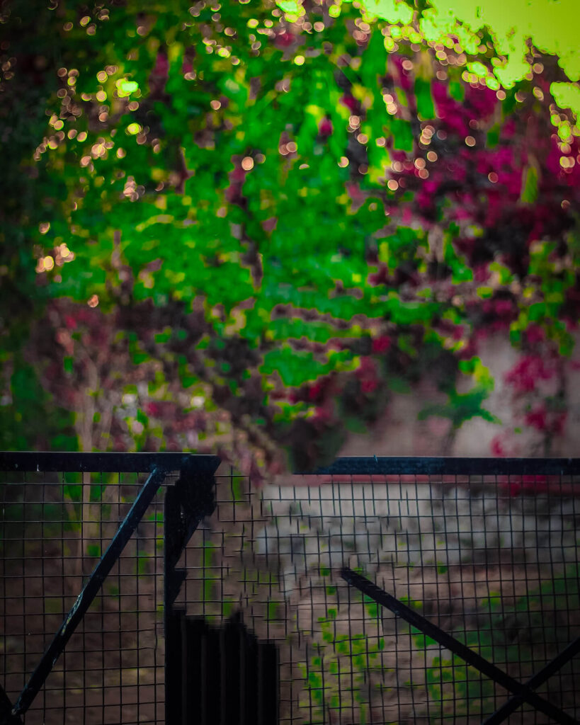 cb editing photo background new 14 cb editing photo background