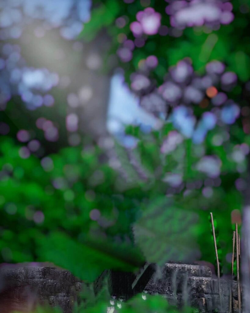 photo background images for editing 9 photo background images for editing