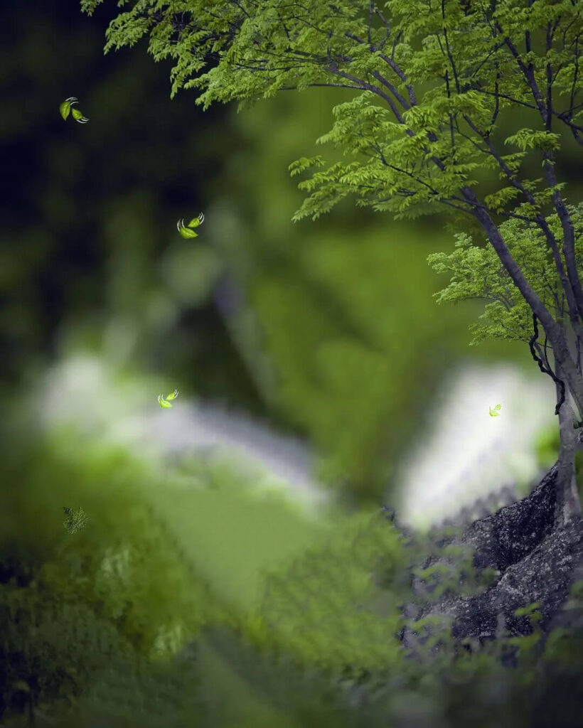 photo editing photo background 7 photo editing photo background