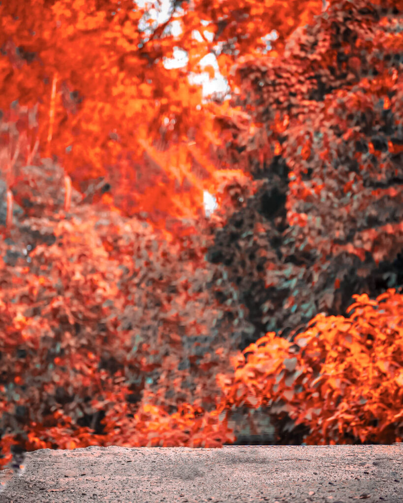 best photo background hd