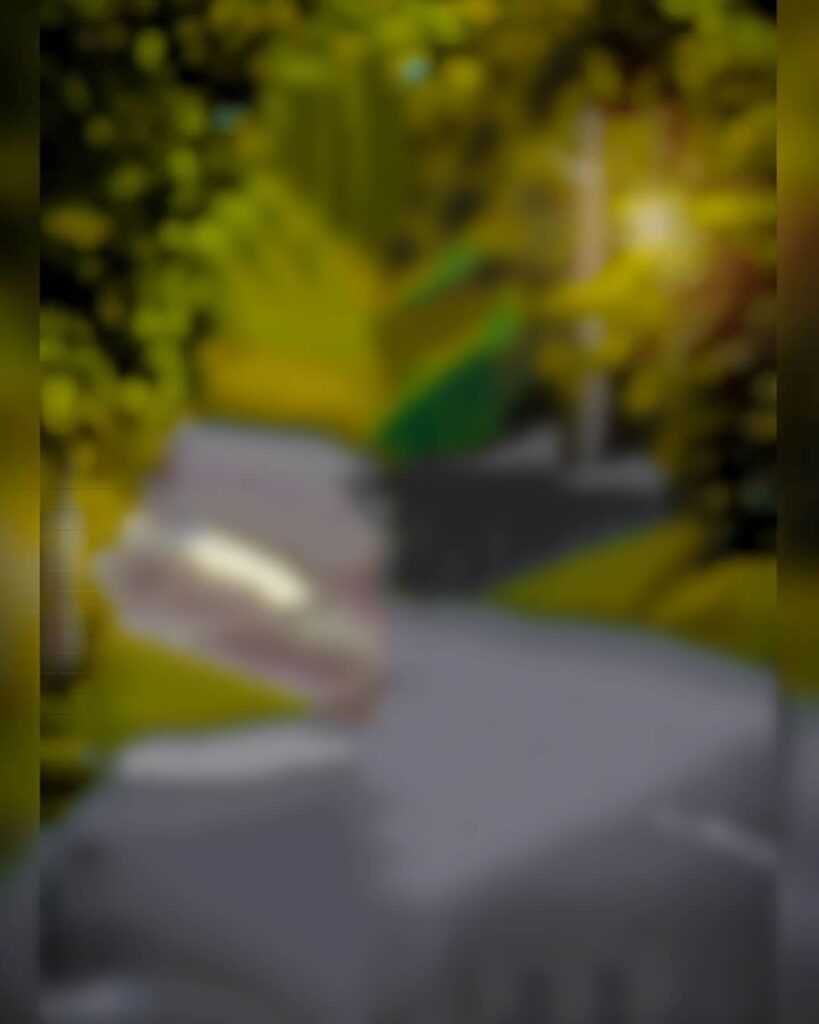 dslr editing photo background