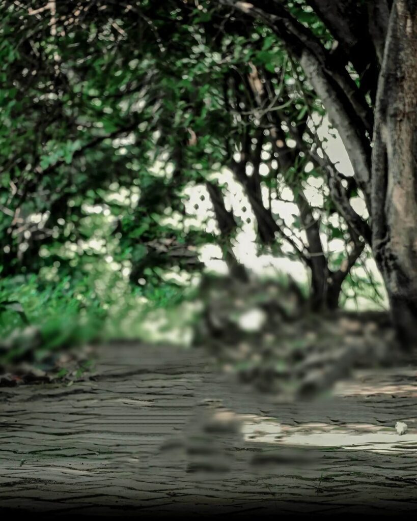 editing photo background download