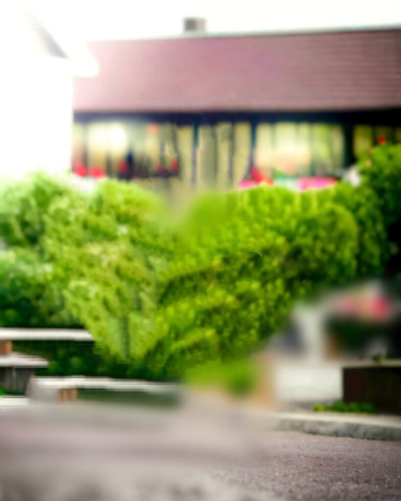 editing photo background download