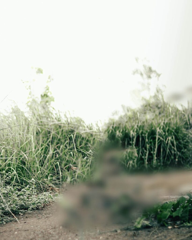 editing photo background image