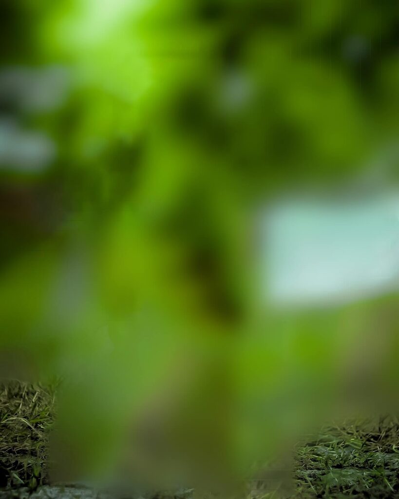 full hd editing photo background