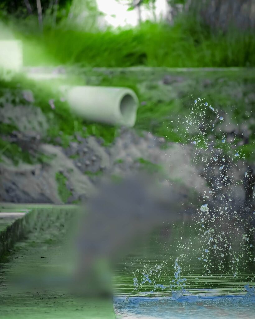 full photo background