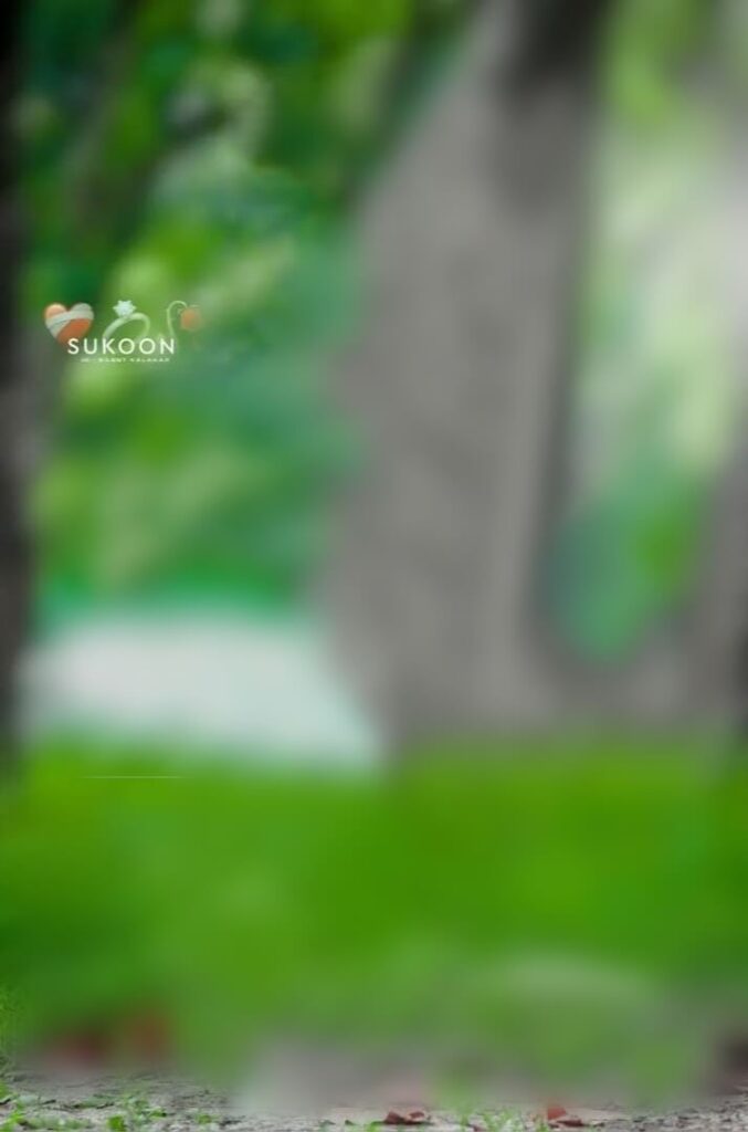 full photo background images