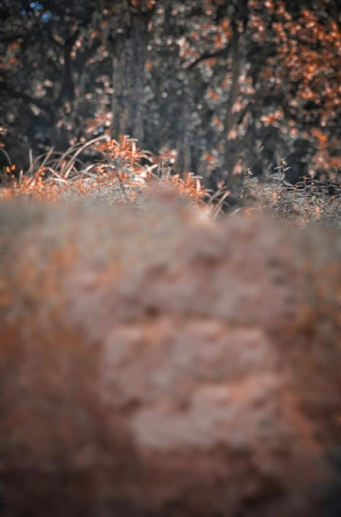 hd photo background download