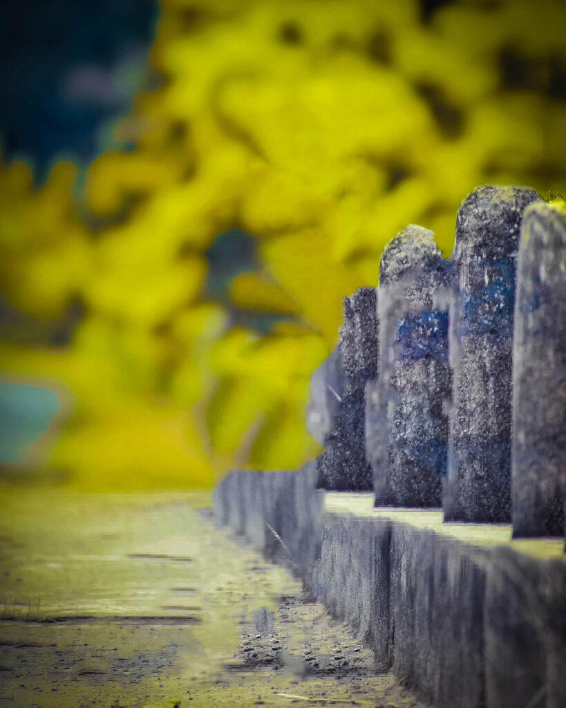 hd photo background editor