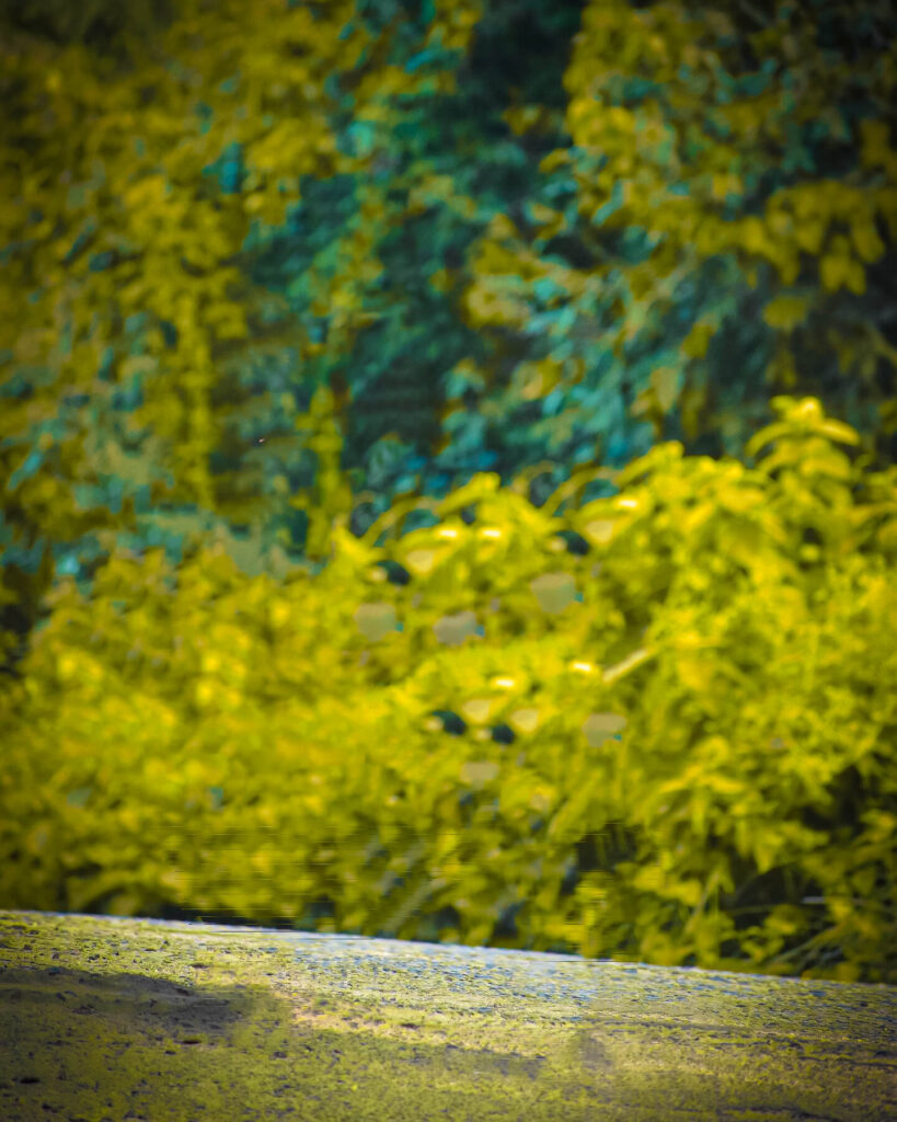 instagram edit photo background