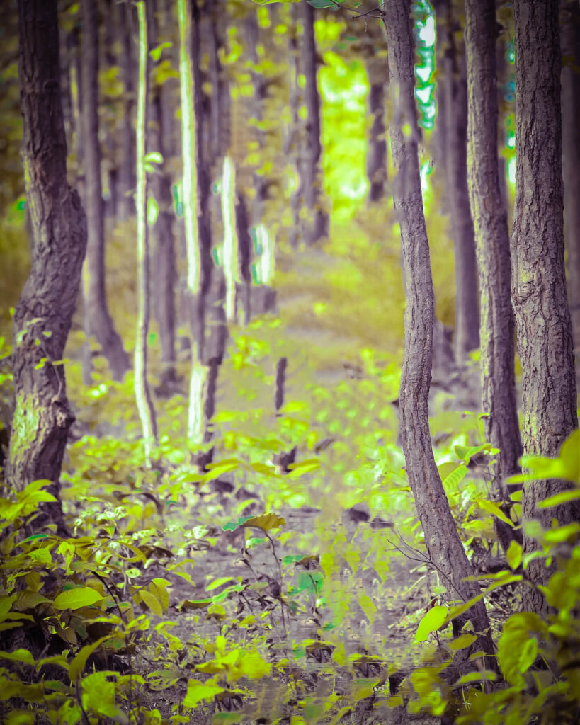 instagram photo background